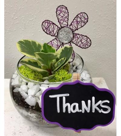 Thanks to you! Terrarium Bowl Thanks to you! Terrarium Bowl