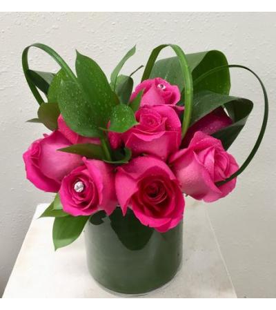Modern One Dozen Roses Modern One Dozen Roses