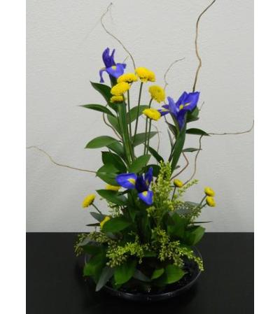 Iris and Willow Ikebana Iris and Willow Ikebana