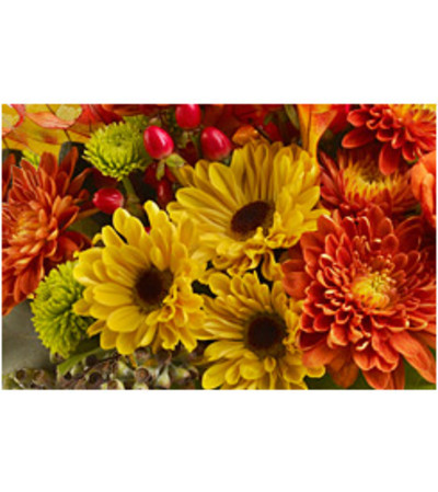 Fall Centerpiece - Designer Choice Fall Centerpiece - Designer Choice