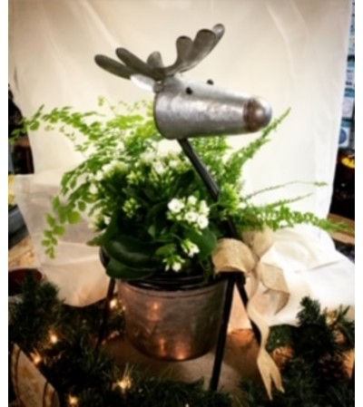 Christmas Reindeer planter Christmas Reindeer planter