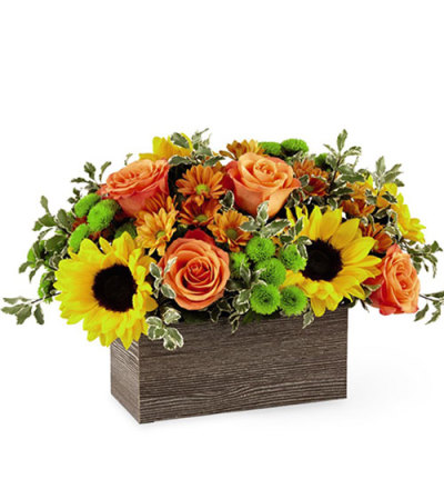 Happy Harvest Box Happy Harvest Box