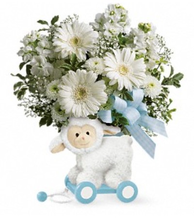 Sweet Little Lamb in Blue Sweet Little Lamb in Blue