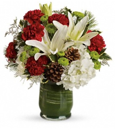 Teleflora's Christmas Collage Bouquet Teleflora's Christmas Collage Bouquet