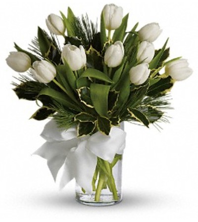 Teleflora Tulips And Pine Teleflora Tulips And Pine