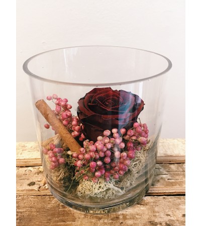 Preserved Rose (Burgundy) Preserved Rose (Burgundy)