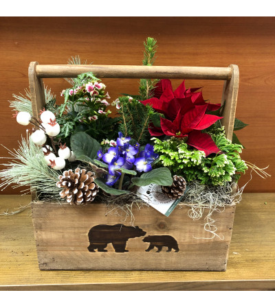 Beary Merry Christmas Planter Beary Merry Christmas Planter