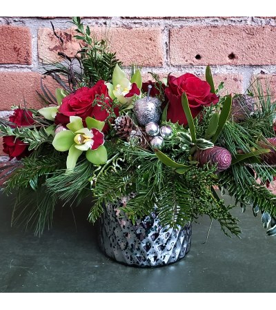 Holiday Orchid Delight Holiday Orchid Delight