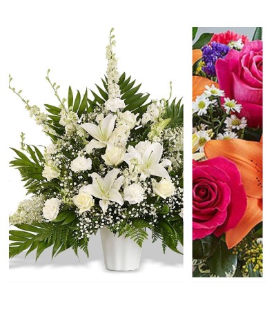 Bright Mix-Traditional Sympathy Bright Mix-Traditional Sympathy