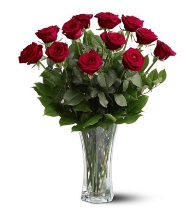 Premium Red Roses 12, 18, 24 Premium Red Roses 12, 18, 24