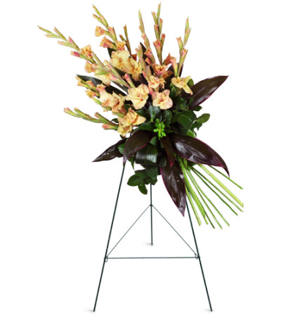 Elegant Memories Spray Elegant Memories Spray