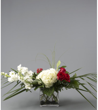 Blooming Romance Blooming Romance