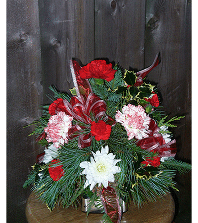 Holly-day Surprise Holly-day Surprise