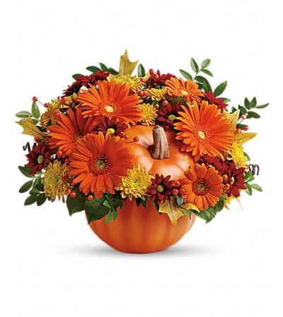 Fall Pumpkin Fall Pumpkin