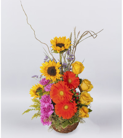 Basket of Sunshine Basket of Sunshine