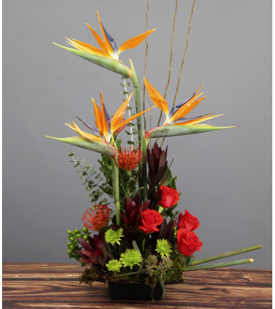 Hawaiian Tropics Hawaiian Tropics