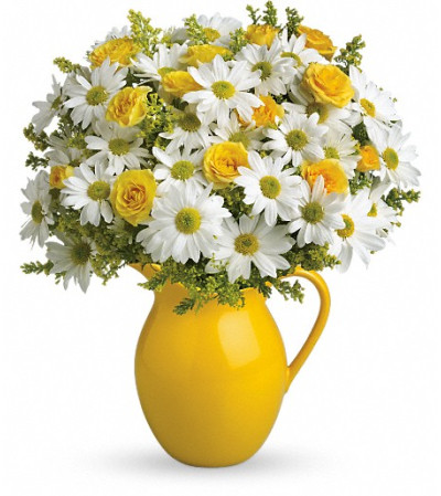 Teleflora's Sunny Day Pitcher of Daisies Teleflora's Sunny Day Pitcher of Daisies