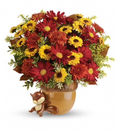 Teleflora's Send a Hug™ Squirrel Away Bouquet Teleflora's Send a Hug™ Squirrel Away Bouquet