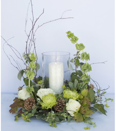 Woodland Daydream Woodland Daydream