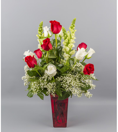 Touch of Red, Splash of White Touch of Red, Splash of White
