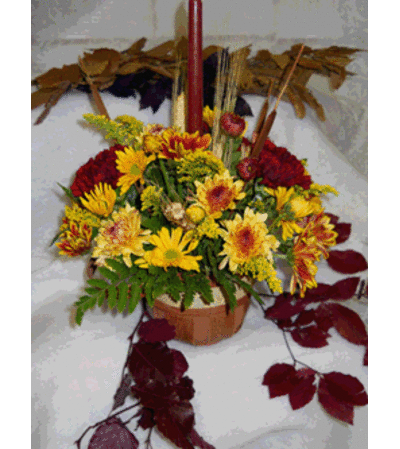 Test Arrangement Here is a New Name Test Arrangement Here is a New Name