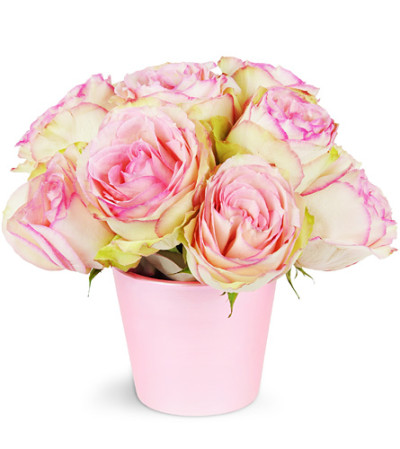 For My Sweetie For My Sweetie