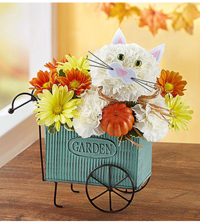 Fabulous Fall Feline™ Fabulous Fall Feline™
