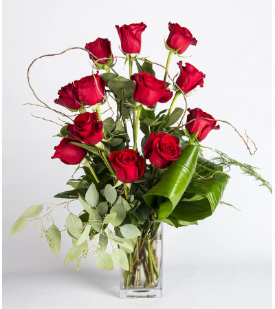 Picture Perfect Roses Picture Perfect Roses