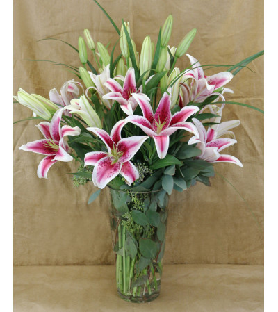 Exuberant Pink Exuberant Pink
