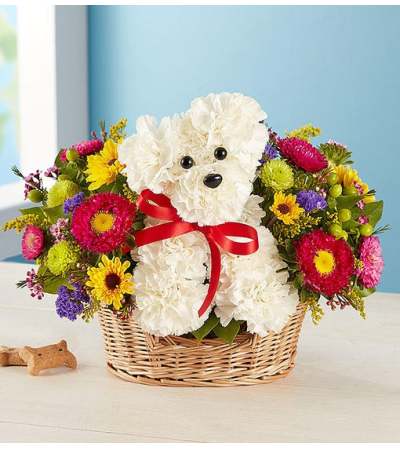 a-DOG-able® Basket a-DOG-able® Basket