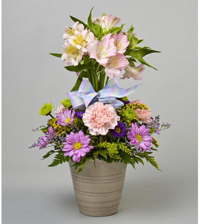 Alstroemeria Topiary Alstroemeria Topiary