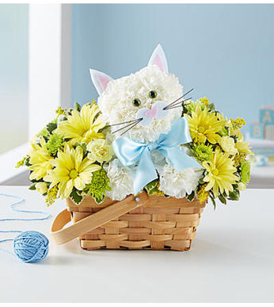 Fabulous Feline™ for Baby Fabulous Feline™ for Baby