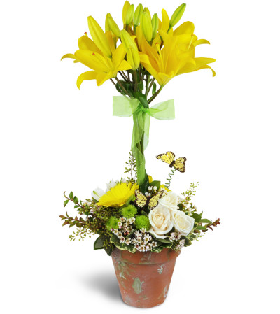 Happiness in Bloom™ Topiary Happiness in Bloom™ Topiary