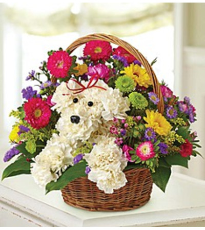 in a Basket a-DOG-able in a Basket a-DOG-able