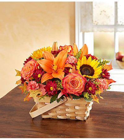 Fields of Europe™ for Fall Basket Fields of Europe™ for Fall Basket