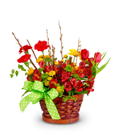 Gardin In Basket Gardin In Basket