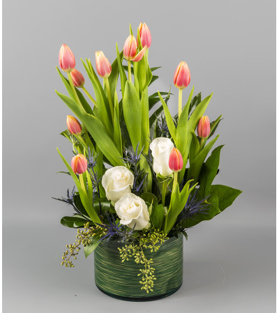 Tulip Desire Tulip Desire