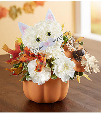 Fabulous Feline™ for Fall Fabulous Feline™ for Fall