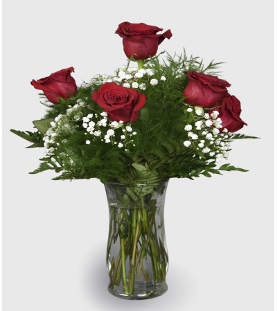 Half Dozen Beauty Half Dozen Beauty