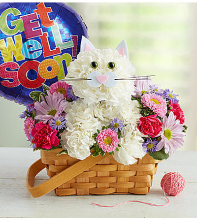 Fabulous Feline™ Get Well Fabulous Feline™ Get Well