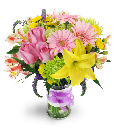 Spring Surprise Spring Surprise