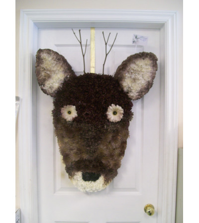 Deer Head Deer Head