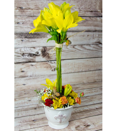 Yellow Lilly Topiary Arrangment Yellow Lilly Topiary Arrangment