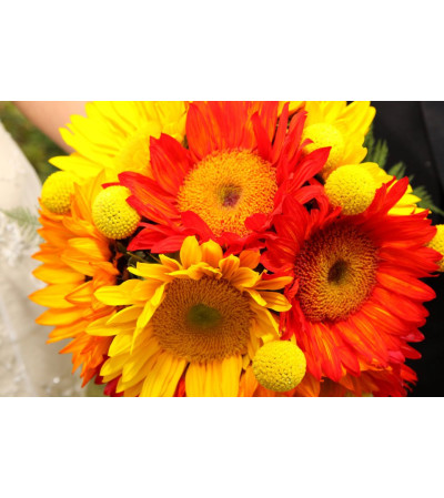 Sunny Flowers Sunny Flowers
