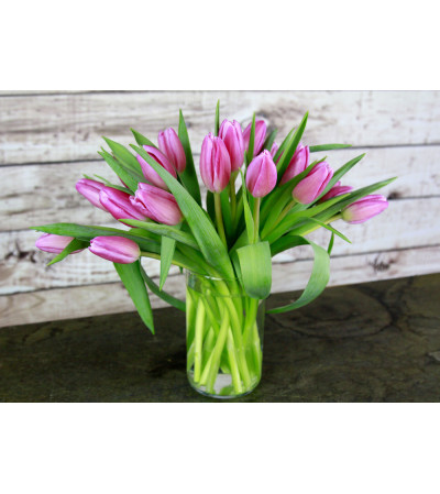 Pretty Pink Tulips Pretty Pink Tulips