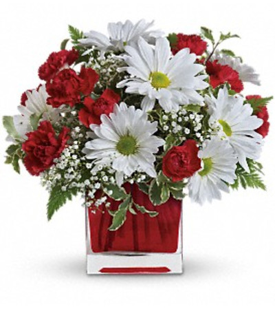 SPECIAL SOMEONE SPECIAL SOMEONE