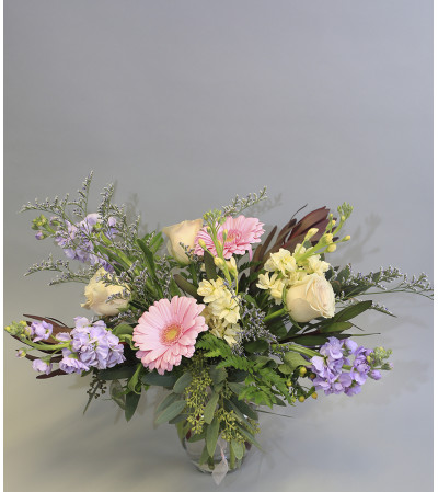 Modern Pastel Modern Pastel