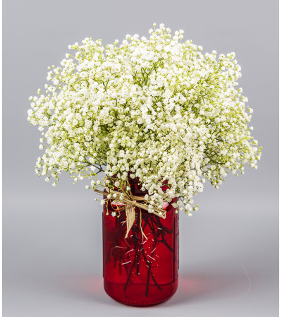 Simply Baby's Breath Simply Baby's Breath