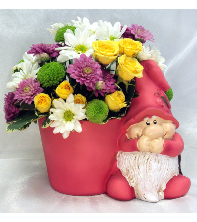 Garden Gnome Garden Gnome