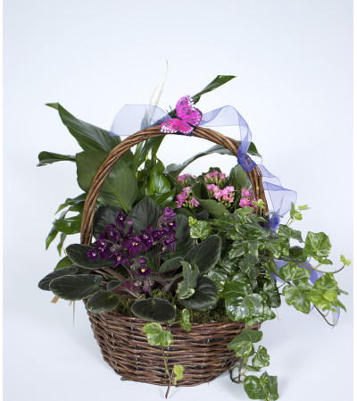 Blooming Basket of Joy Blooming Basket of Joy